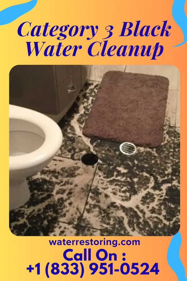Category 3 Black Water Cleanup in Kingman, IN